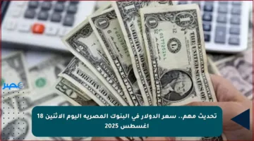 تحديث مهم.. سعر الدولار في البنوك المصرية اليوم الاثنين 18 أغسطس 2025